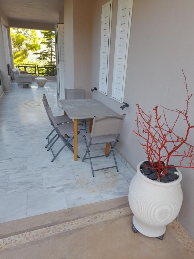 Suite With Garden Agia Marina  Екстериор снимка