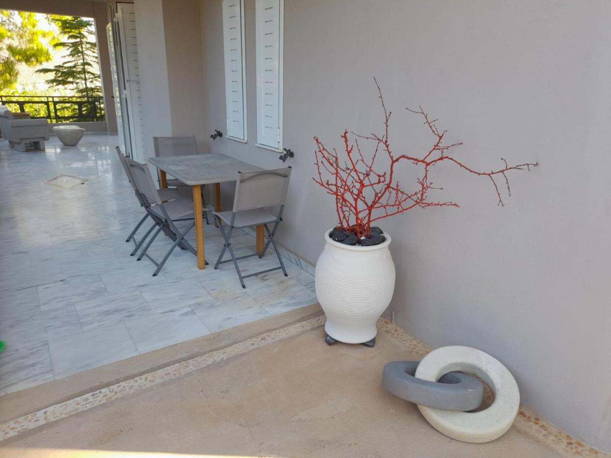 Suite With Garden Agia Marina  Екстериор снимка